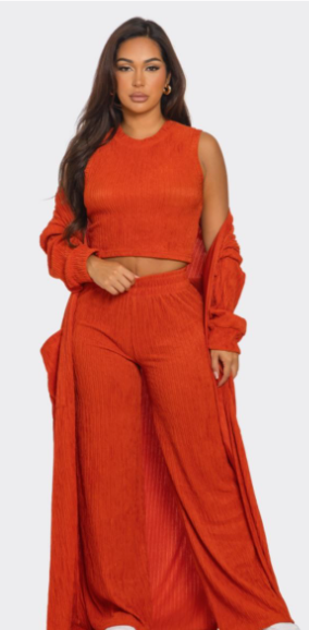 3 Piece Cardigan Crop Top Wide Pant Set